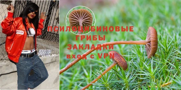 spice Богданович