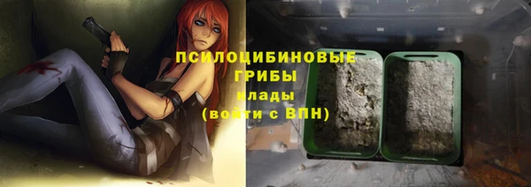 spice Богданович