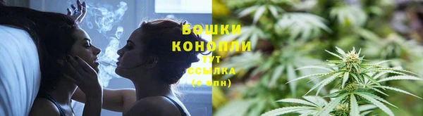 spice Богданович
