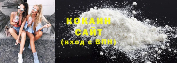 spice Богданович