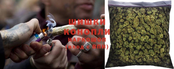 spice Богданович