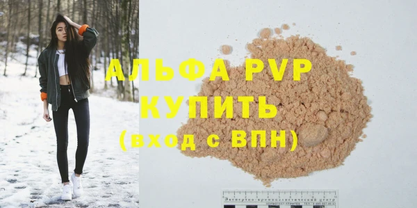 spice Богданович